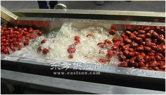 海產品清洗機器單價 諸城和義機械公司 天津海產品清洗機器圖片